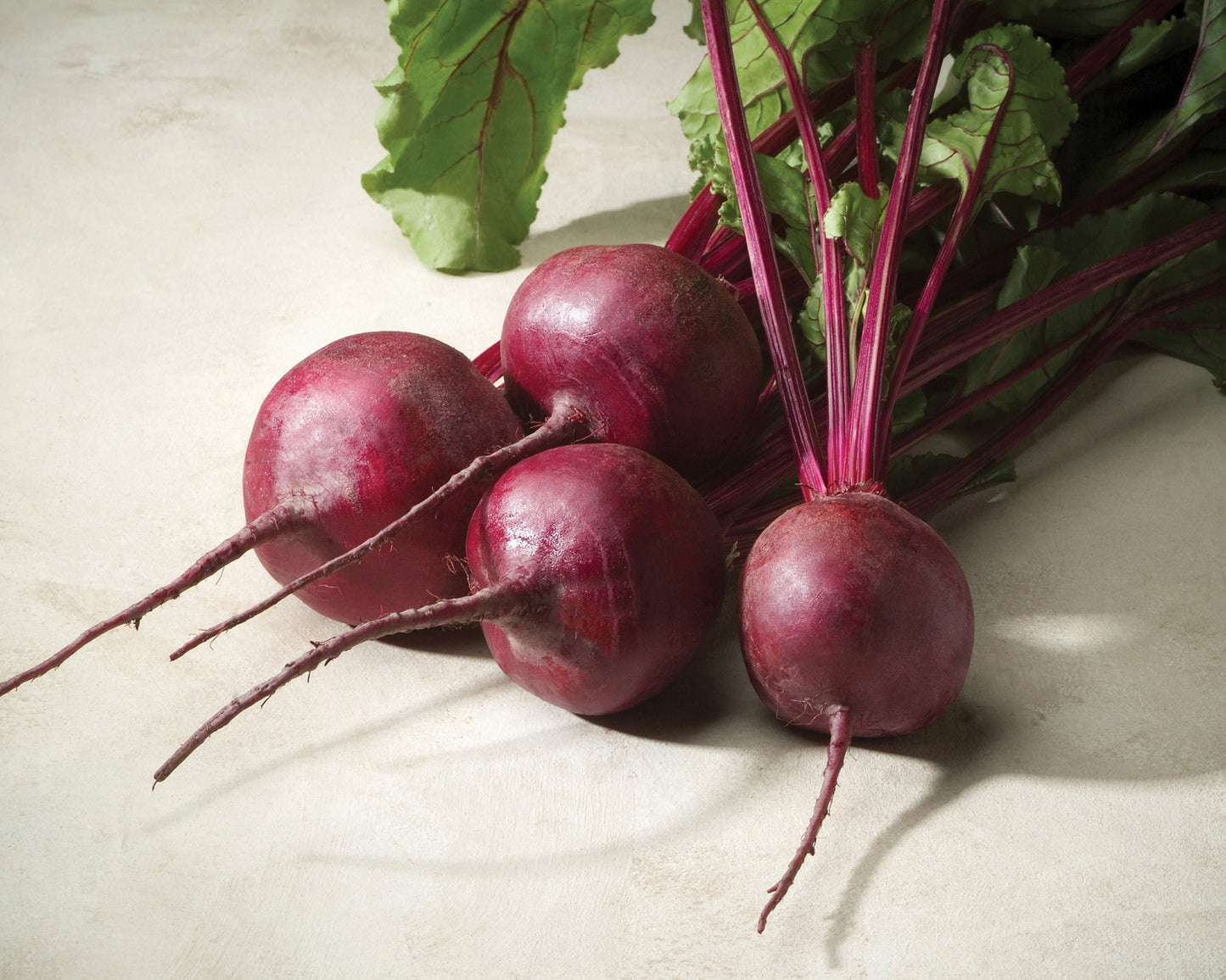Packet of Merlin Hybrid Beet Seeds by Seeds 'n Such, showing 300 beet seeds in a clear seed packet.