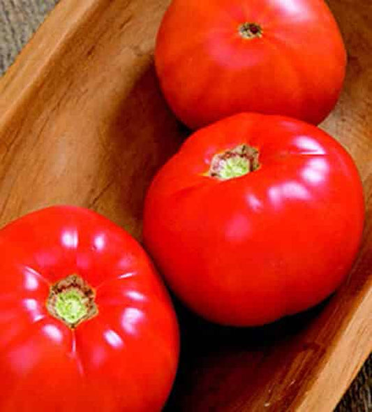 Skyway Hybrid Tomato Seeds packet from Seeds 'n Such showing five seeds and colorful label for planting and gardening.