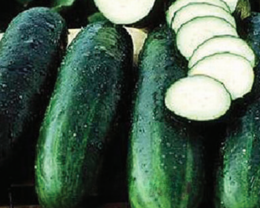 Packet of Seeds 'n Such Bush Crop Cucumber Seeds with 50 seeds shown in the image.