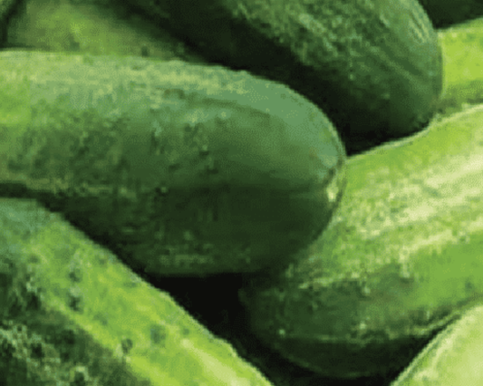 Packet of Seeds 'n Such Bush Pickle Hybrid Cucumber Seeds showing 50 seeds in a colorful packet.