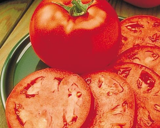 Packet of Homestead 24 Tomato Seeds by Seeds 'n Such showing 50 seeds in a clear seed packet.