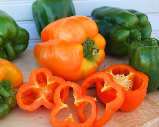 Orange Bell Sweet Pepper Seeds from Seeds 'n Such in a packet of 50 for planting and growing vibrant bell peppers.