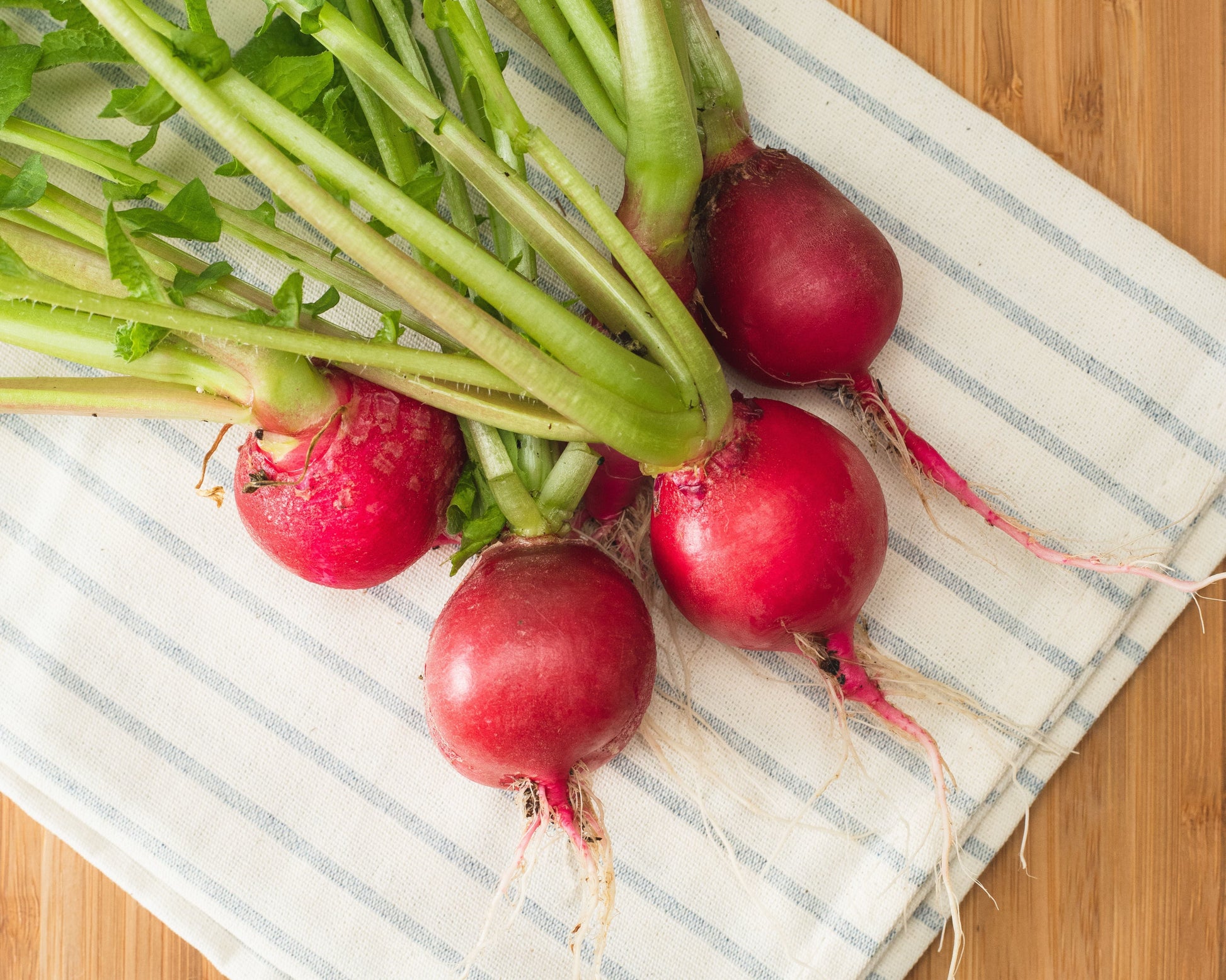 Packet of Seeds 'n Such Cherry Belle Radish Seeds showing 500 seeds in a colorful packet for planting and gardening.