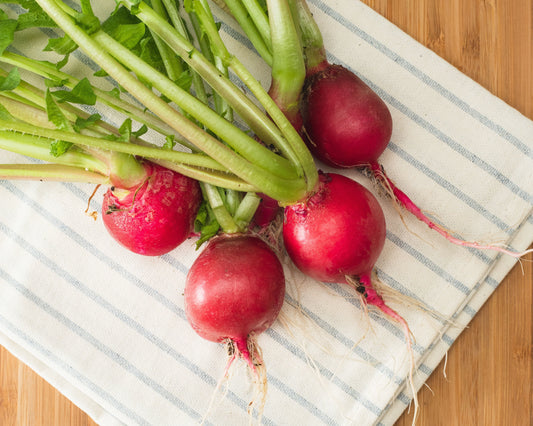 Packet of Seeds 'n Such Cherry Belle Radish Seeds showing 500 seeds in a colorful packet for planting and gardening.