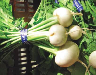 Packet of Tokyo Cross Hybrid Turnip Seeds by Seeds 'n Such, containing 500 seeds for planting in vegetable gardens.