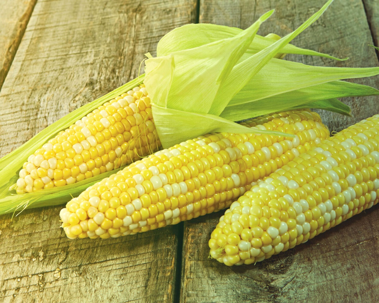 Packet of Seeds 'n Such Temptation bicolor hybrid sweet corn seeds showing colorful kernels for planting.