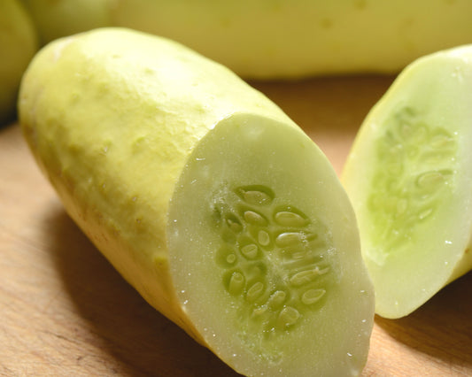 Packet of 8-10 Seeds for Martini Hybrid Cucumber by Seeds 'n Such, showcasing fresh cucumber seeds in a colorful packet