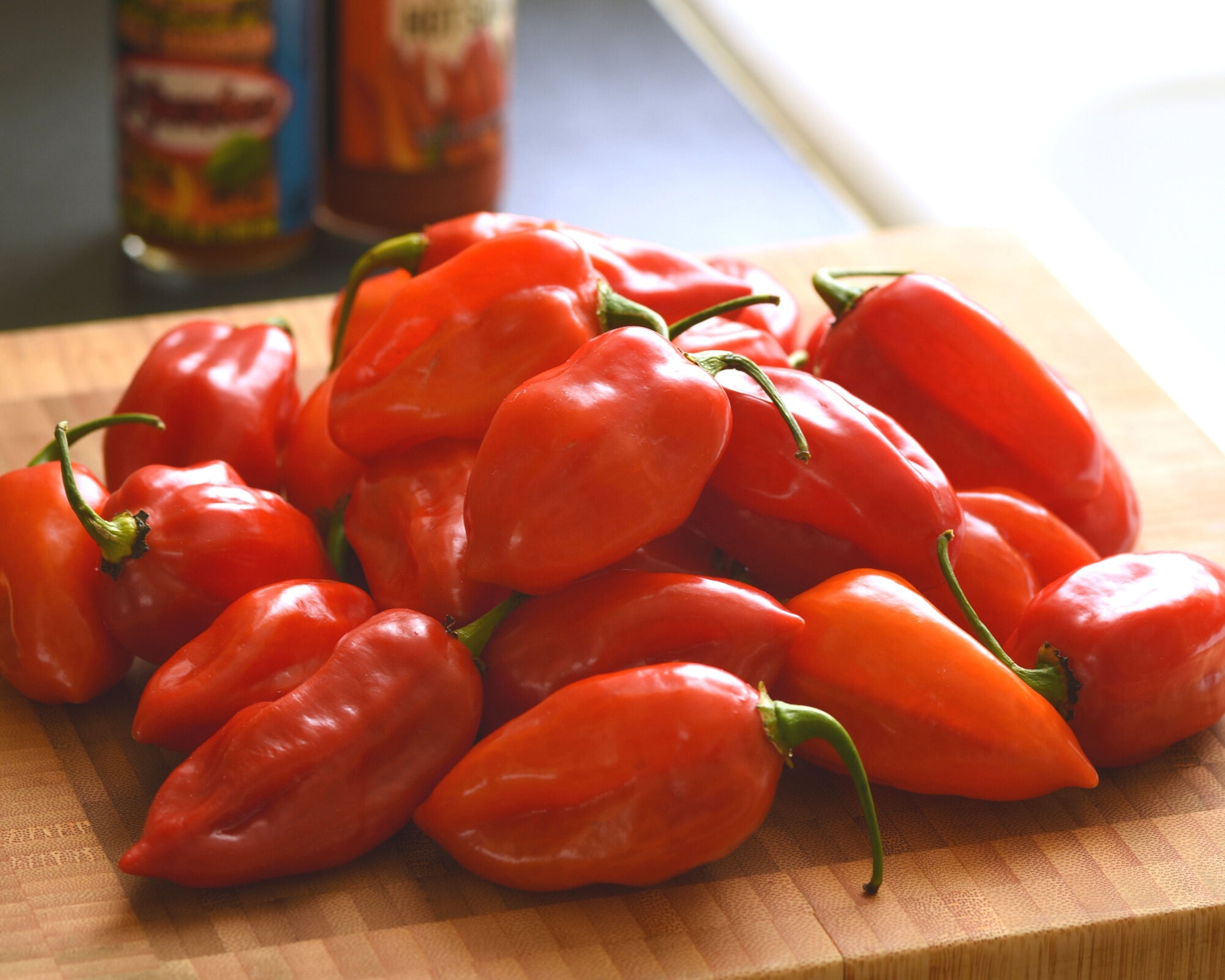Primero Red Habanero hybrid pepper seeds packet by Seeds 'n Such with 8 seeds for growing hot peppers.