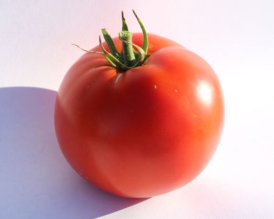 Packet of Big Beef Plus Hybrid Tomato Seeds from Seeds 'n Such with 8 to 10 seeds visible inside the packaging.