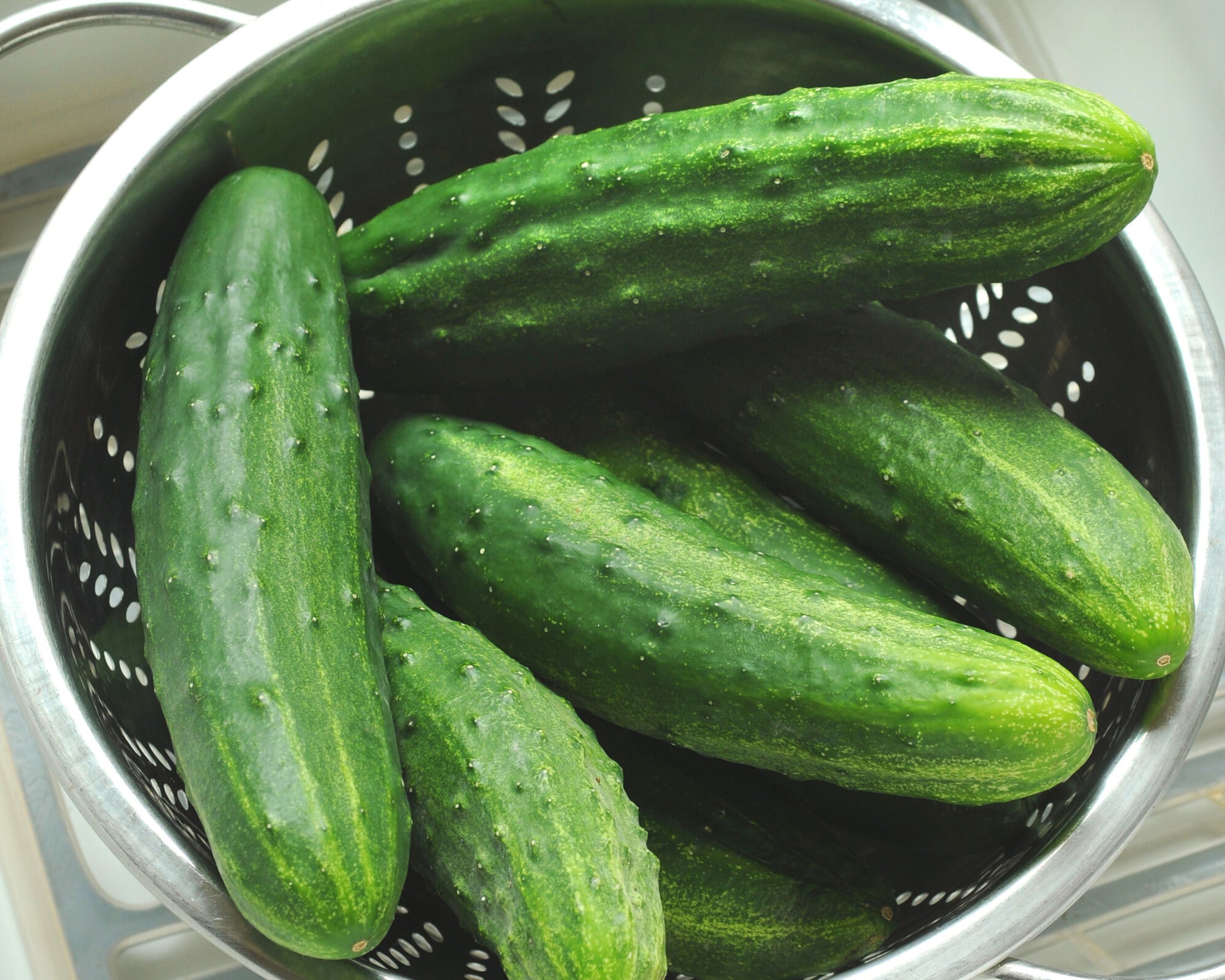 Packet of Seeds 'n Such Patio Snacker Hybrid Cucumber seeds, featuring 8 to 10 small cucumber seeds for home gardening.