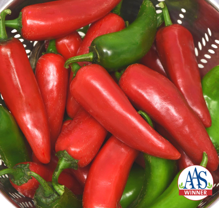 Pot-a-Peño pepper seeds packet from Seeds 'n Such, showing 8 to 10 seeds in a clear packet with colorful branding.