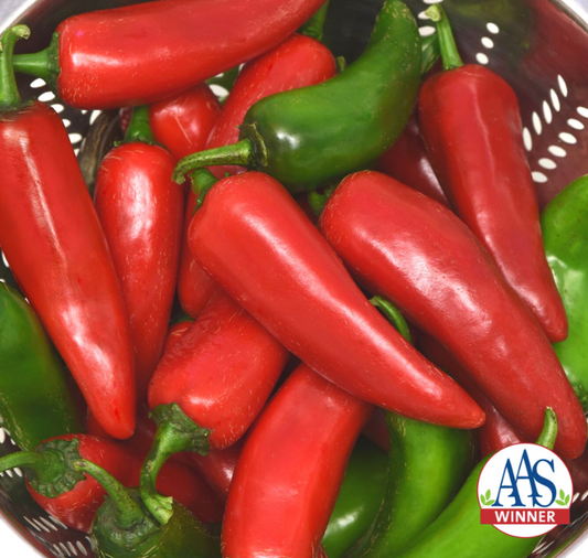 Pot-a-Peño pepper seeds packet from Seeds 'n Such, showing 8 to 10 seeds in a clear packet with colorful branding.