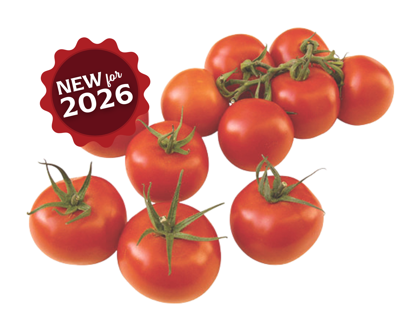 Packet of Sugar Cluster Hybrid VFFT tomato seeds by Seeds 'n Such, showcasing vibrant seed packet with seeds inside.