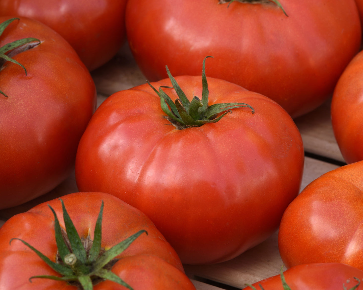 Wonderstar Red Hybrid Beefsteak VFStLb tomato seeds from Seeds 'n Such in a packet with 8-10 seeds.