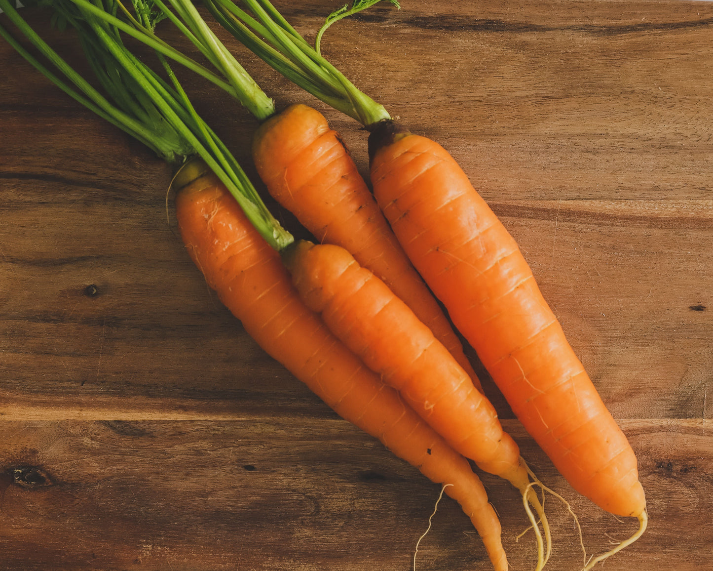 Packet of Seeds 'n Such Danvers Half-Long Carrot Seeds showing 800 seeds inside, ideal for home vegetable gardening.