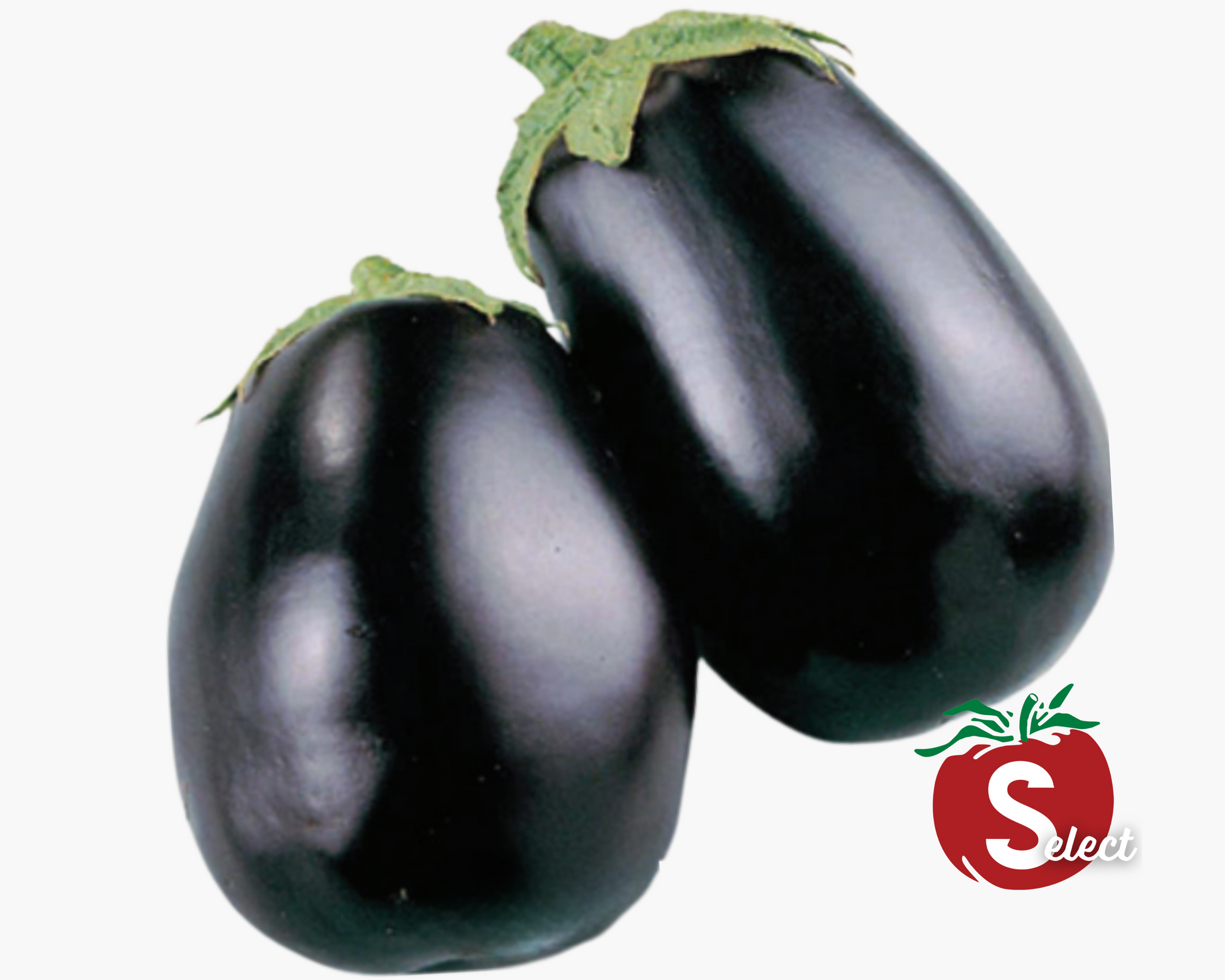 Black Beauty Eggplant Seeds packet from Seeds 'n Such showing 85 seeds for planting in gardens or containers.