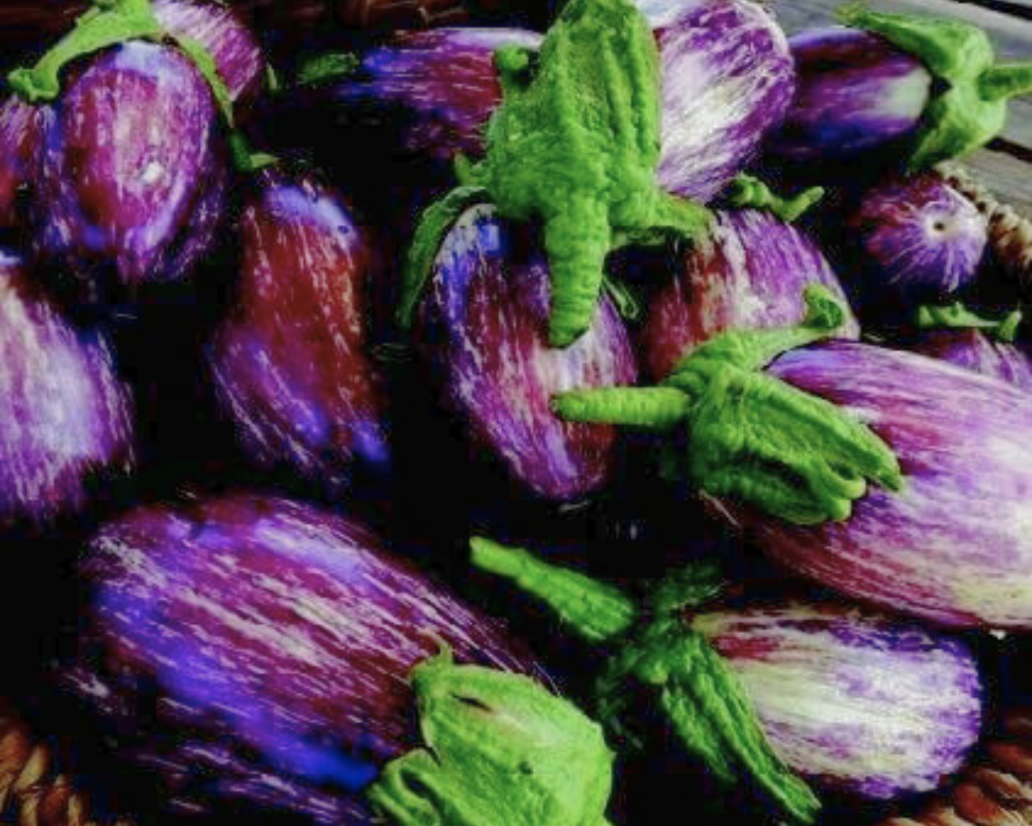 Listada de Gandia eggplant seeds from Seeds 'n Such in a packet with 85 seeds, showcasing vibrant purple-striped eggplant seeds.