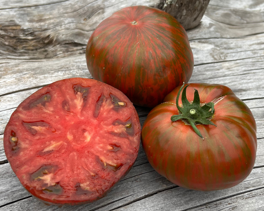Bulk Beefy Purple Tomato Seeds from Seeds 'n Such, showing 100 seeds in a clear packet for planting and gardening.