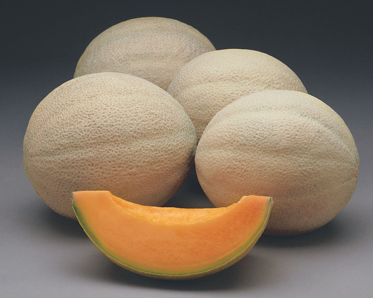Athena Hybrid Cantaloupe Seeds from Seeds 'n Such in a seed tape packet with 12 to 15 seeds, ideal for planting cantaloupe.