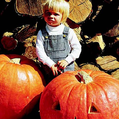 Packet of Seeds 'n Such Big Max Pumpkin Seeds, vegetable seed packet with 25 seeds for planting pumpkins.