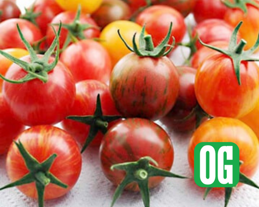 Packet of Seeds 'n Such Artisan Series Bumblebee Mix Tomato Seeds with 25-30 vegetable seeds, colorful bumblebee-patterned tomato variety