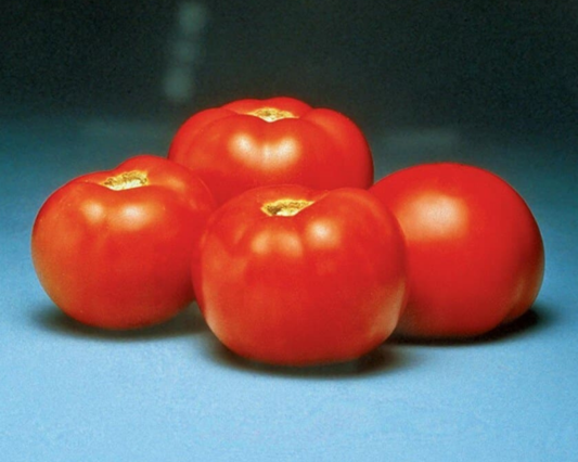 Packet of Seeds 'n Such Better Bush Hybrid Tomato Seeds, vegetable seeds for growing tomato plants in your garden.