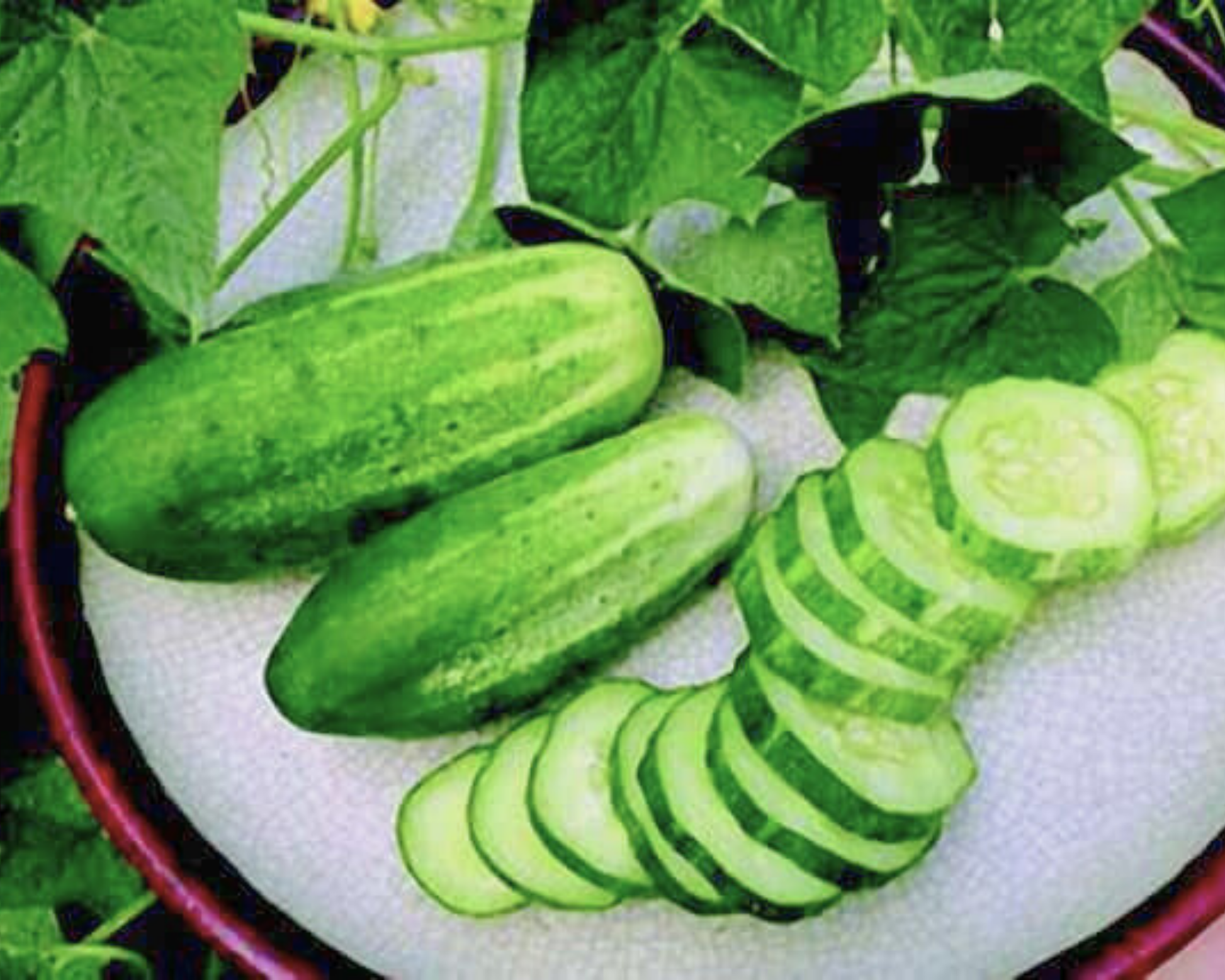 Packet of Arkansas Little Leaf Cucumber Seeds by Seeds 'n Such showing 30 vegetable seeds in a colorful packet.