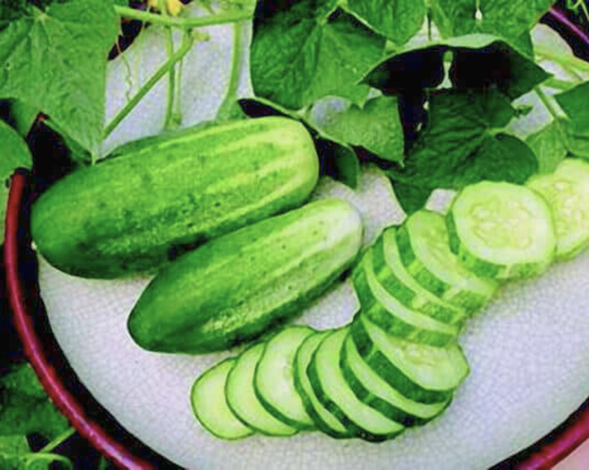 Packet of Arkansas Little Leaf Cucumber Seeds by Seeds 'n Such showing 30 vegetable seeds in a colorful packet.