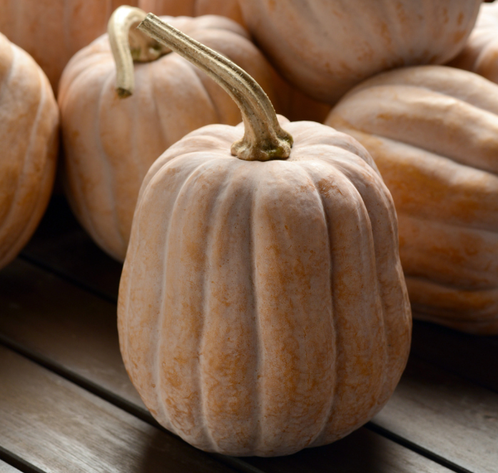 Packet of Autumn Frost Hybrid Winter Squash Seeds from Seeds 'n Such, showcasing bright seed packets for vegetable gardening.