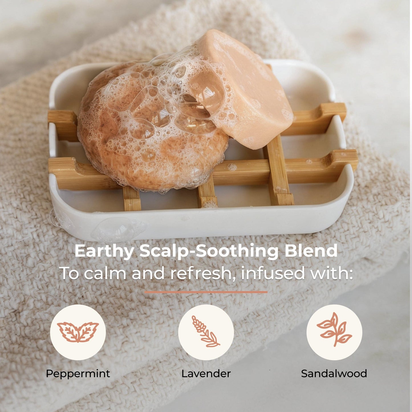 ZeroWasteStore.com shampoo and conditioner bar duo with driftwood scent, eco-friendly hair care set displayed together.