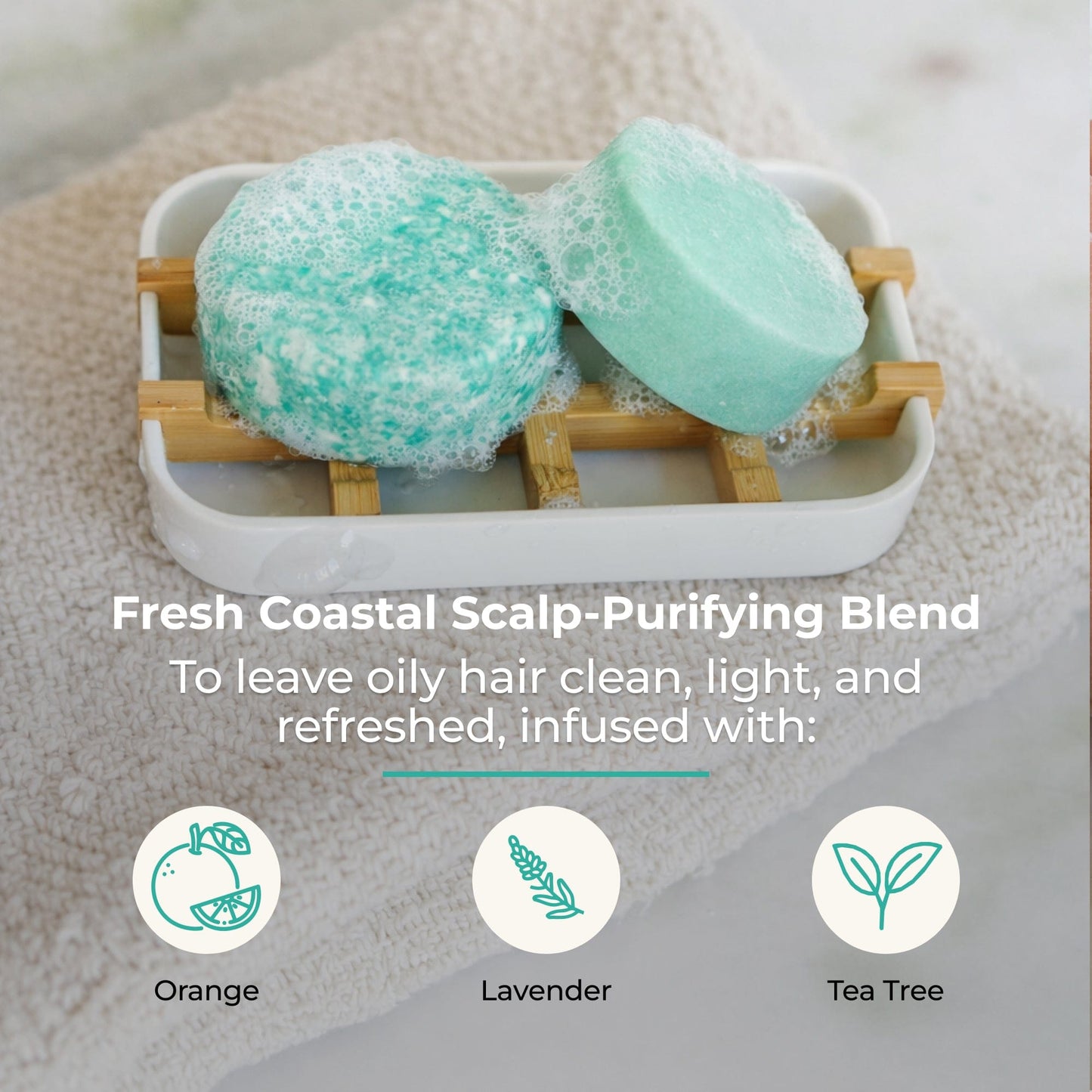 Seaside scent shampoo and conditioner bar duo from ZeroWasteStore.com, eco-friendly hair care set with natural ingredients.