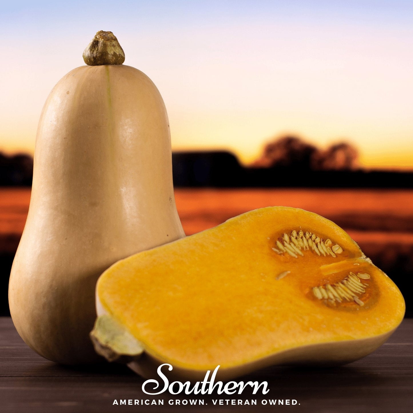 Waltham Butternut winter squash seeds from Southern Seeds, showing 25 seeds in clear view, ideal for planting and gardening.