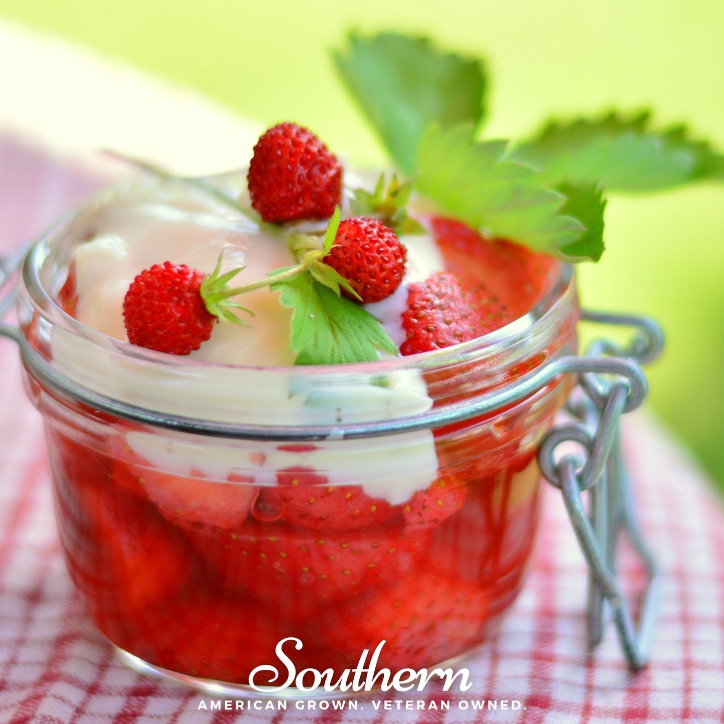 Wild Red Strawberry plant from Southern Seeds, showing lush green foliage and ripe red strawberries, 200 seed packet.