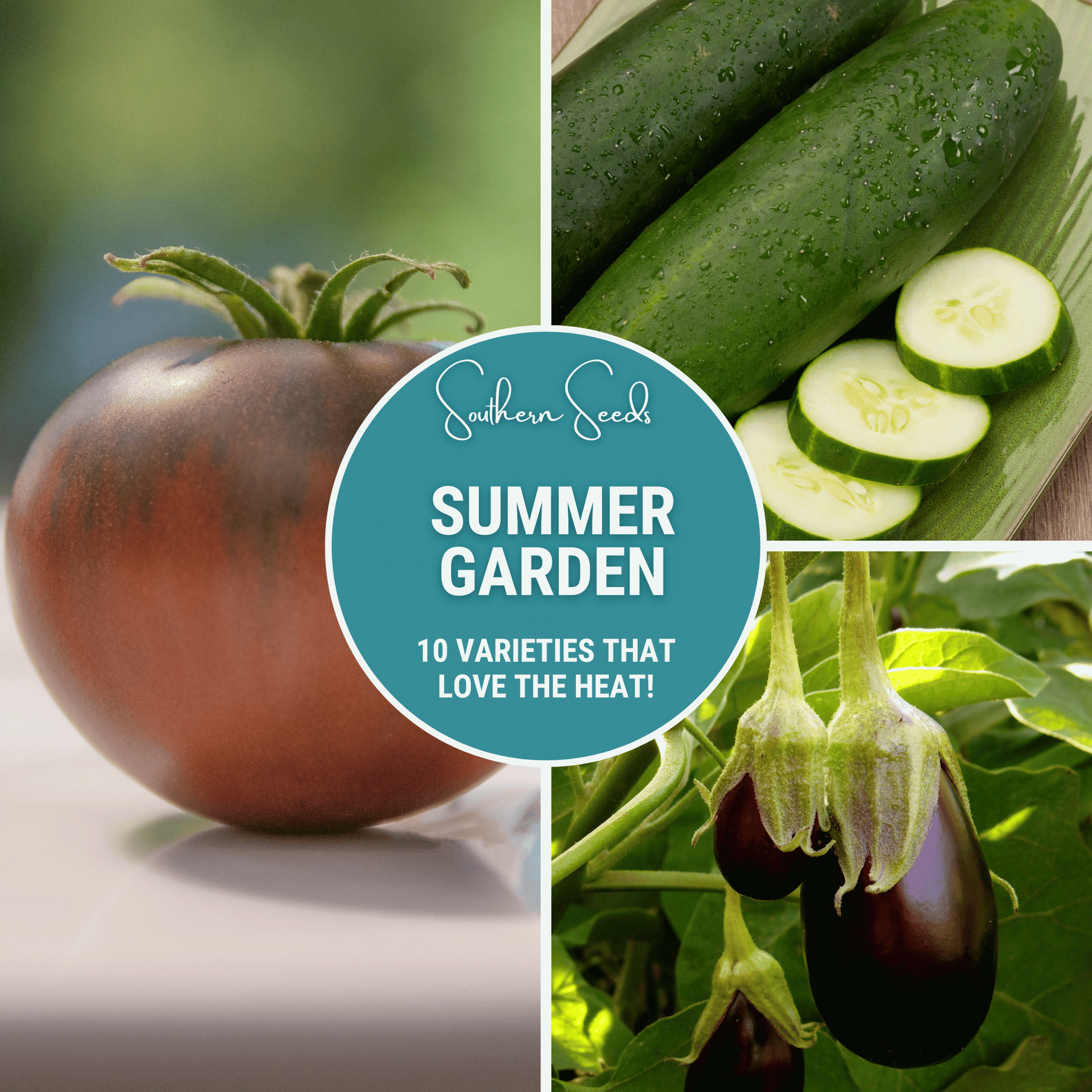 Summer Garden Seed Collection by Southern Seeds featuring 10 heat-loving vegetable and flower seed varieties for summer planting.