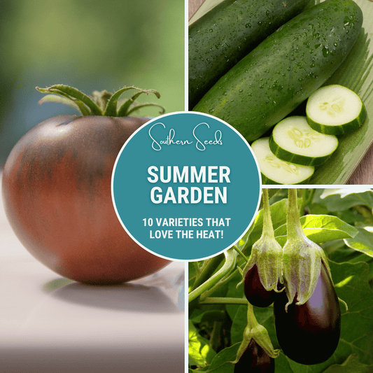Summer Garden Seed Collection by Southern Seeds featuring 10 heat-loving vegetable and flower seed varieties for summer planting.