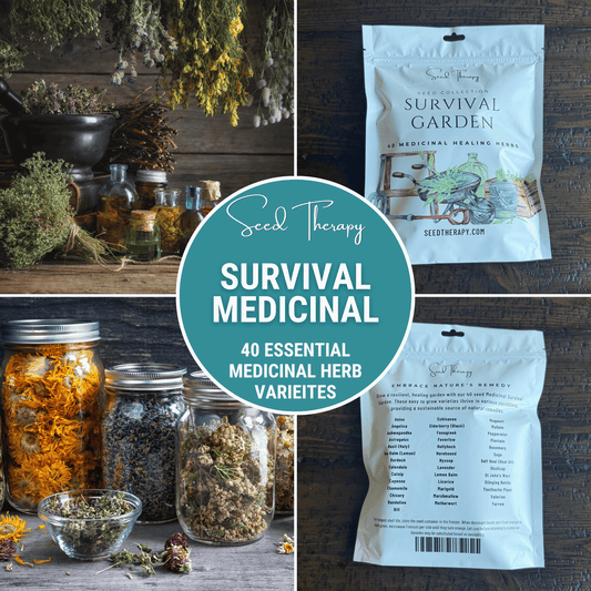 Packet of Southern Seeds survival medicinal herb garden seeds with 40 varieties, including herbs and vegetables for home gardening.