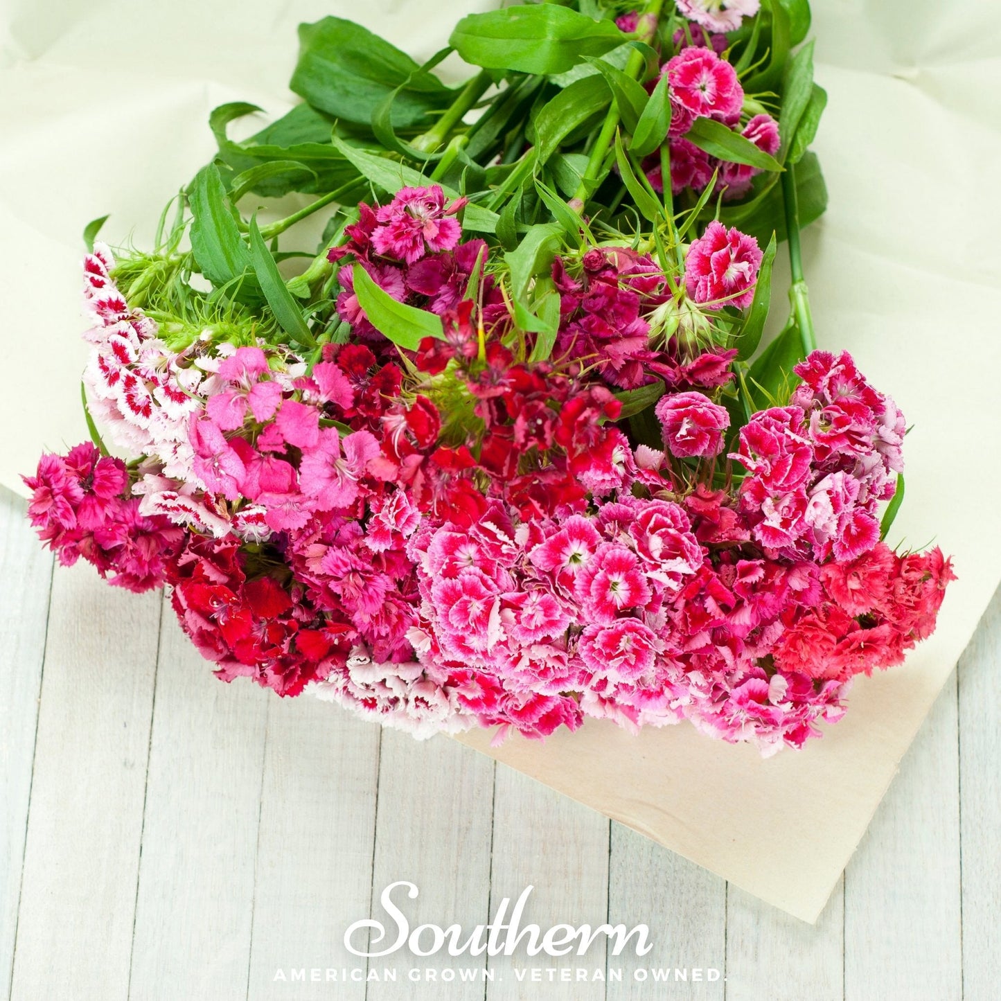 Sweet William Dianthus barbatus flower cluster, showing vibrant blooms and green foliage, from Southern Seeds 250 seed packet.