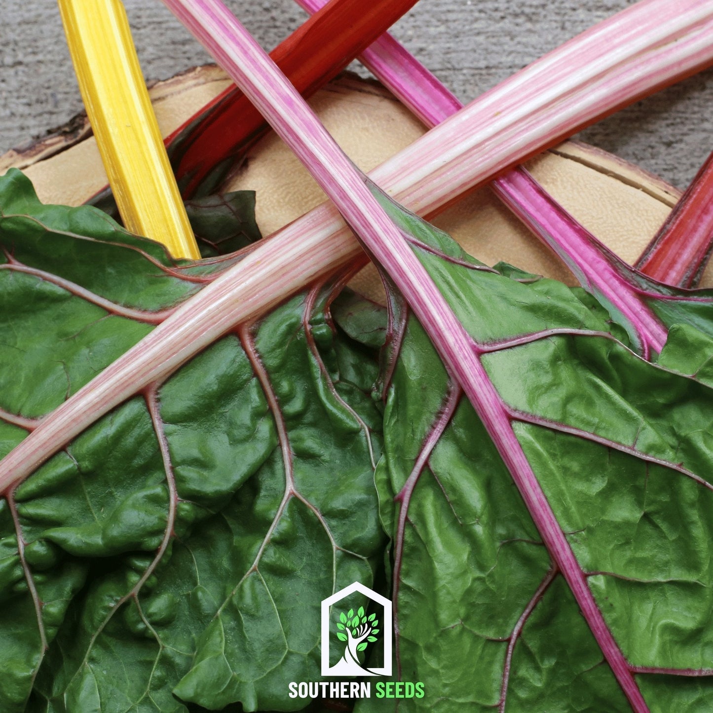 Rainbow Swiss Chard seeds from Southern Seeds, showing vibrant colorful leaves and seed packet for planting.