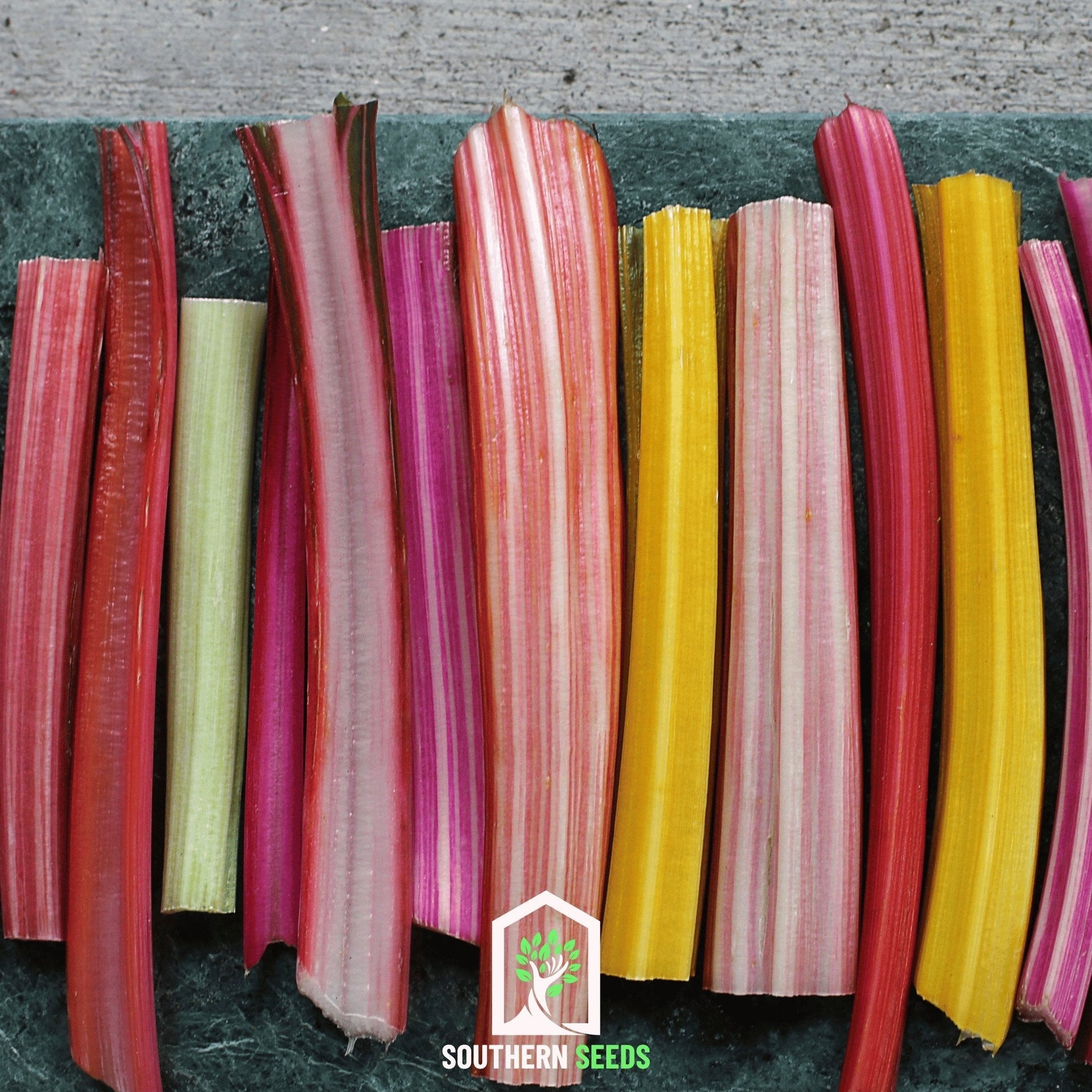 Rainbow Swiss Chard seeds by Southern Seeds, showing vibrant leaf varieties and colorful stems in a seed packet.