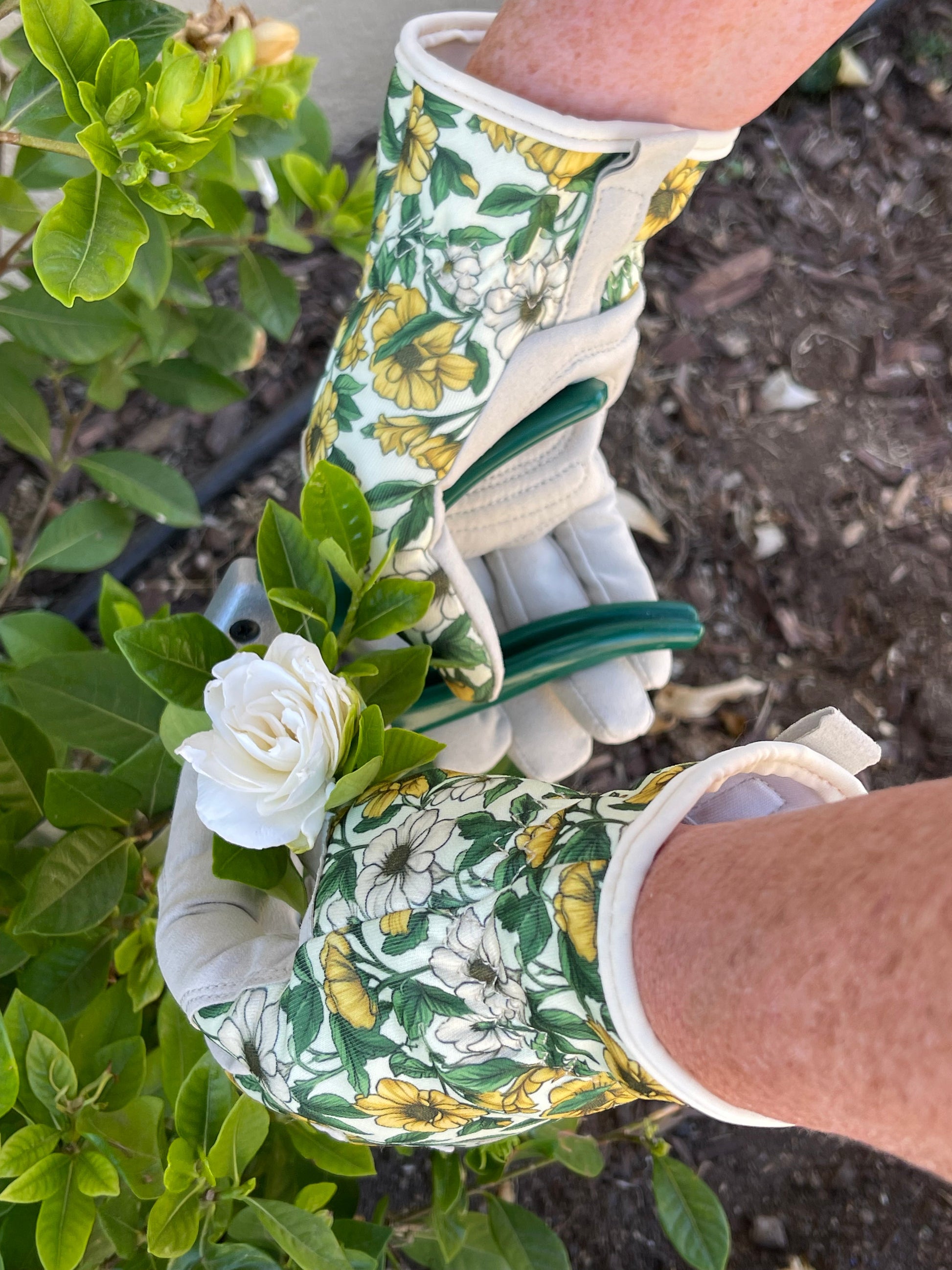 Green and yellow garden gift box from The Celtic Farm with gardening gloves and pruning snips, perfect for garden enthusiasts.