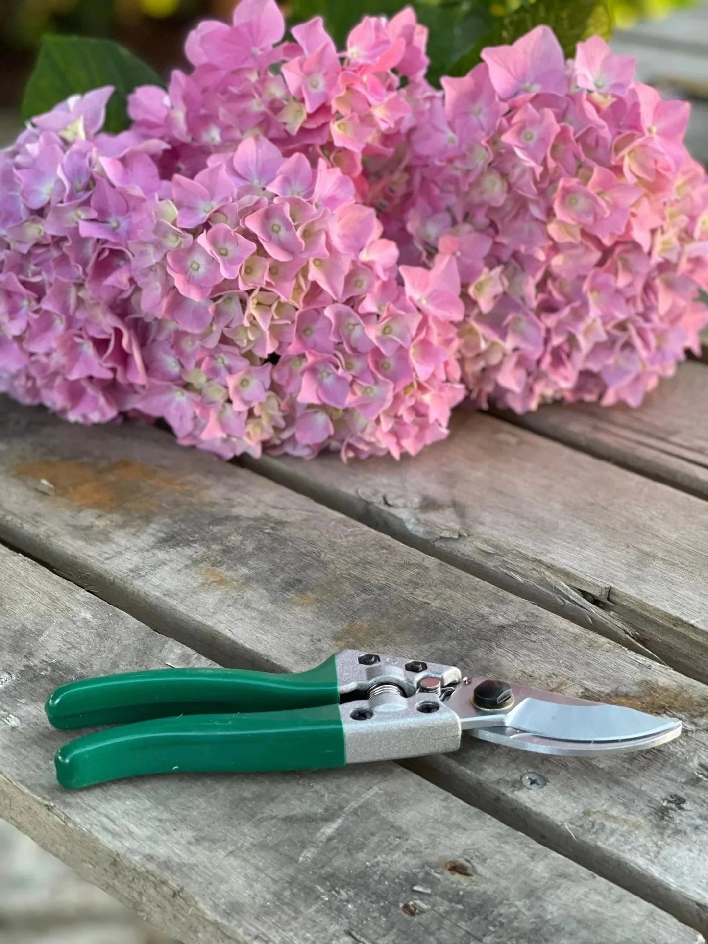 Rose Gardener Gift Box from The Celtic Farm with garden tool belt, rose gloves, belt, and pruners for gardening.