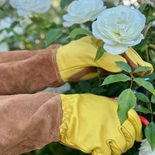 Long garden gloves for rose pruning, soft cowhide gardening gloves by The Celtic Farm, designed for durability and comfort.