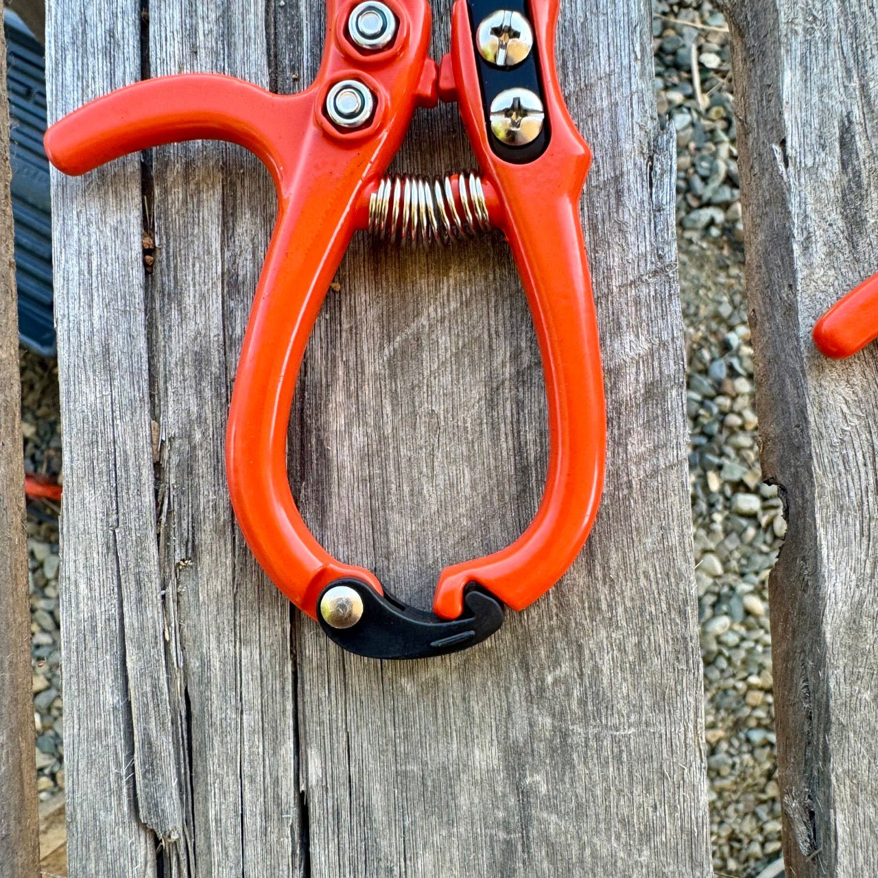 Mini hand pruner gift set by The Celtic Farm featuring ergonomic gardening pruners for precise trimming.