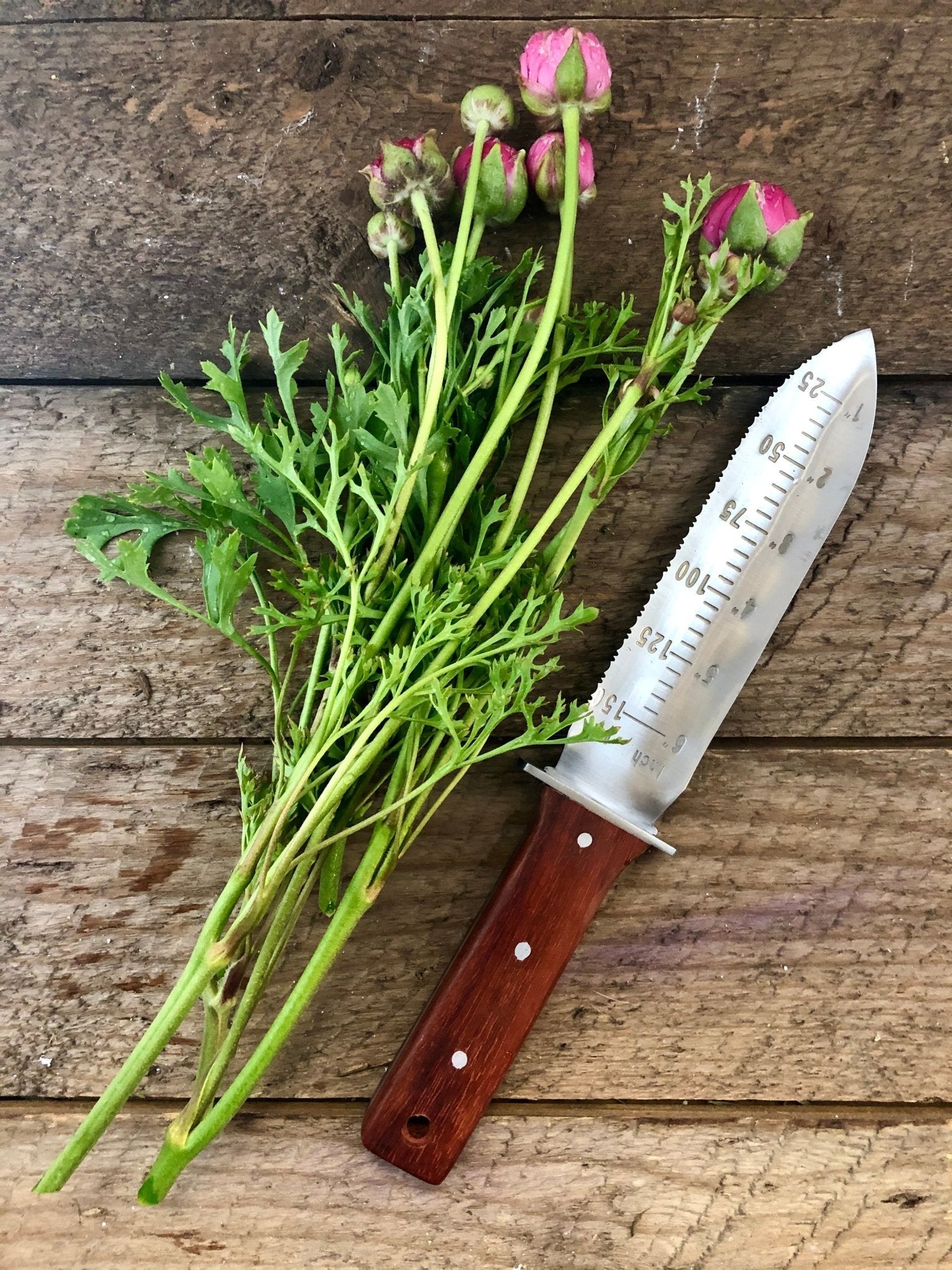 The Celtic Farm Katana Hori Hori Garden Tool with a sharp blade and wooden handle for digging and planting in the garden.