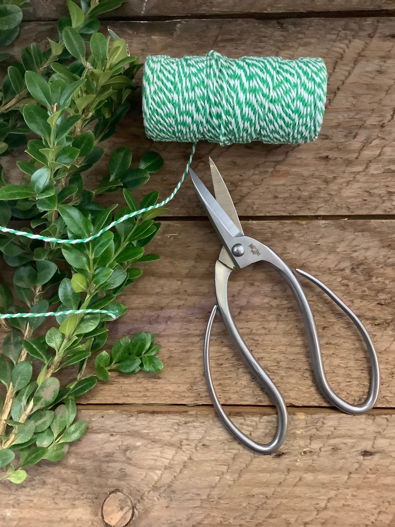 Stainless garden scissors by The Celtic Farm with sharp pruning shears for trimming plants and pruning in the garden.