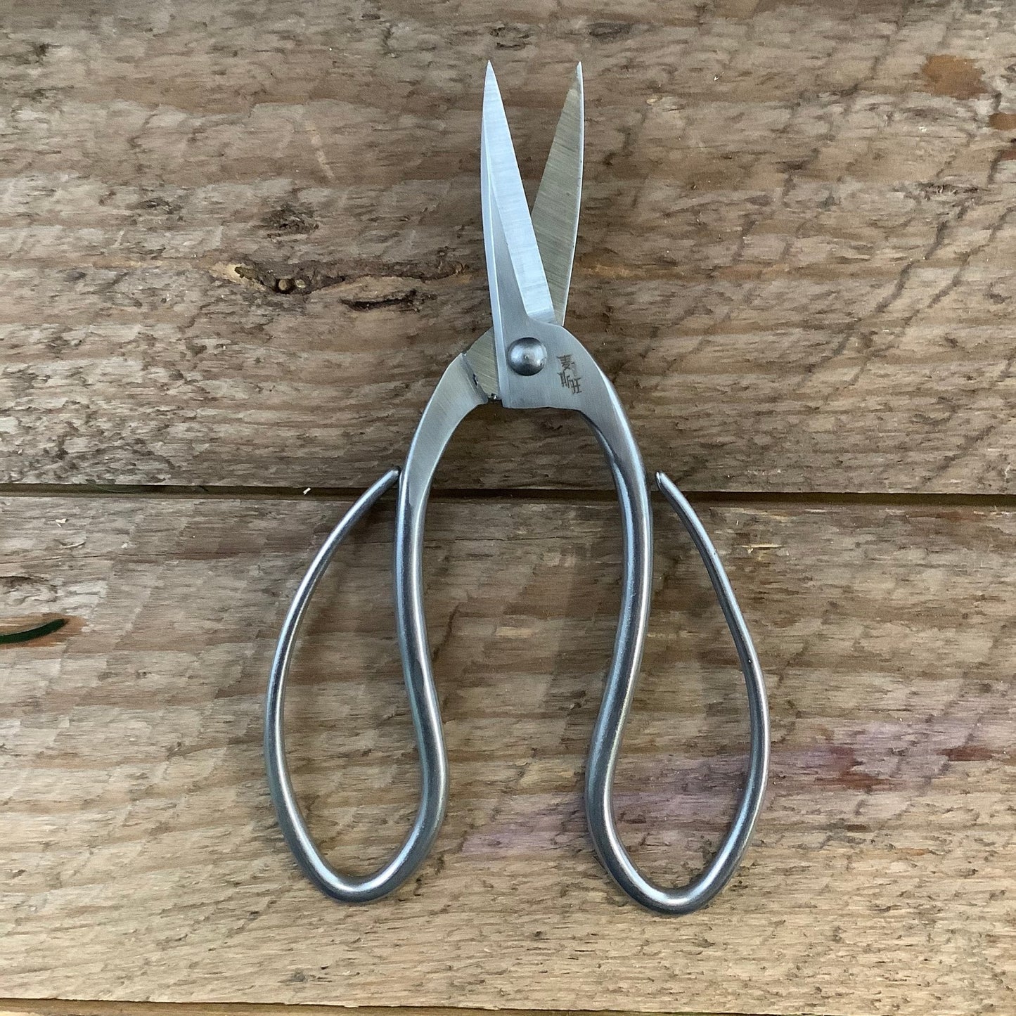 Stainless garden scissors by The Celtic Farm, pruning shears for trimming plants and shrubs with ergonomic handles.