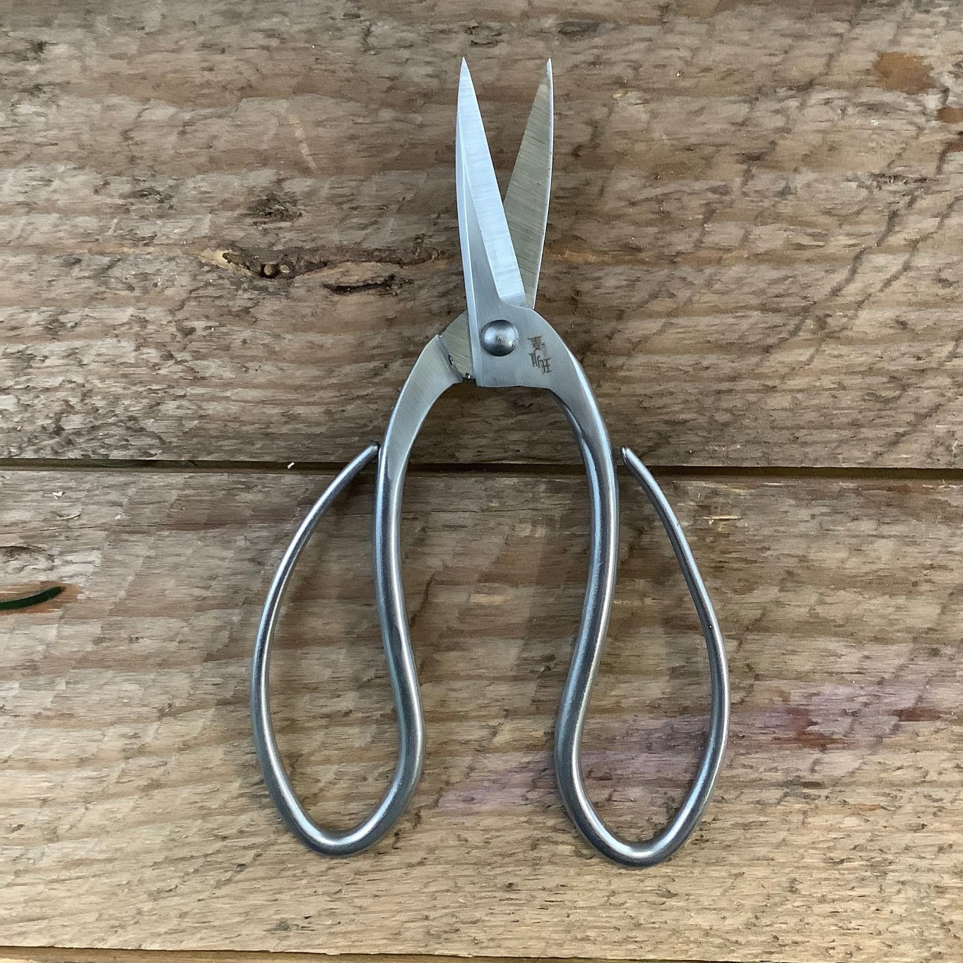 Stainless garden scissors by The Celtic Farm, pruning shears for trimming plants and shrubs with ergonomic handles.