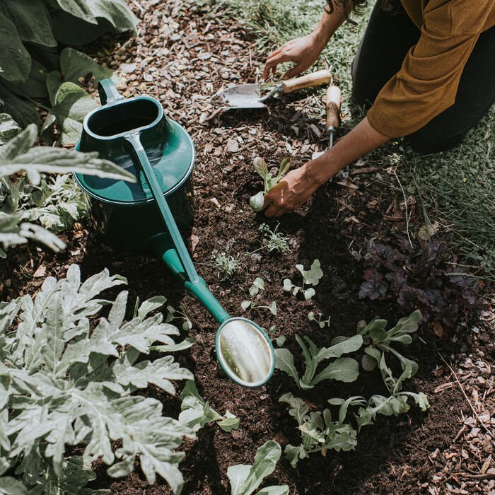 Dark green Haws Cradley Deluxe watering can by The Celtic Farm, with a long spout and ergonomic handle for garden watering.
