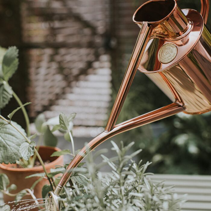 Dark green Haws Rowley Ripple watering can by The Celtic Farm, with a curved spout and ergonomic handle for easy watering.