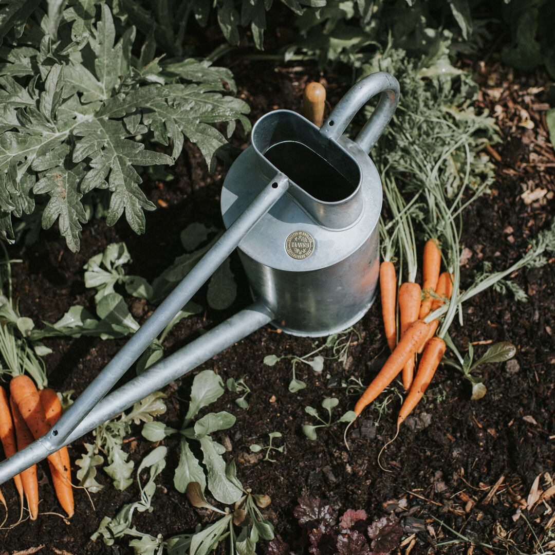 Galvanized two-gallon watering can from The Celtic Farm's Warley Fall collection, featuring a sturdy metal handle and spout.